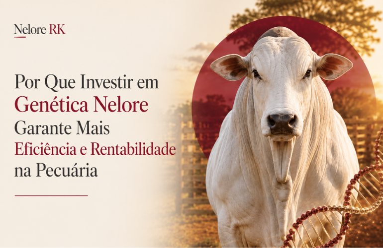 Por Que Investir em Genética Nelore Garante Mais Eficiência e Rentabilidade na Pecuária