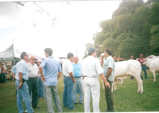 Imagem do leilão 7° Remate da Coqueiral 