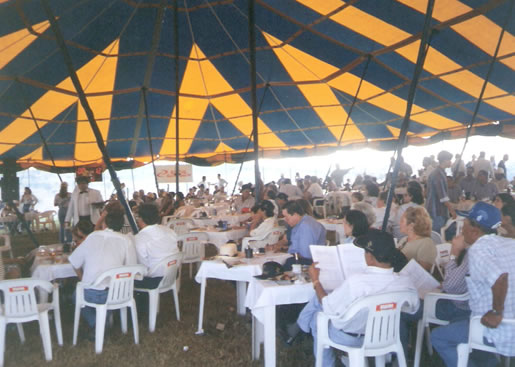 Imagem do leilão 3° Remate da Coqueiral 