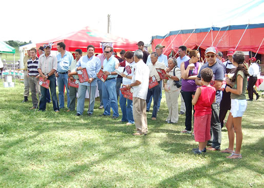 Imagem do leilão 10° Remate da Coqueiral 