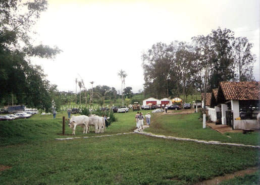 Imagem do leilão 2° Remate da  Coqueiral 