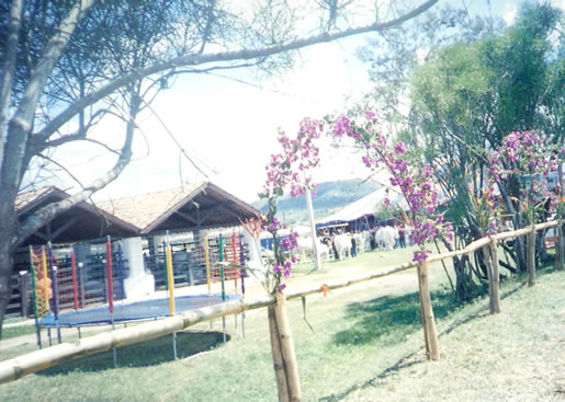 Imagem do leilão 8° Remate da Coqueiral 
