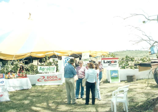 Imagem do leilão 4° Remate da Coqueiral 