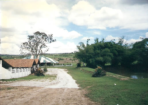 Imagem do leilão 1°  Remate da  Coqueiral
