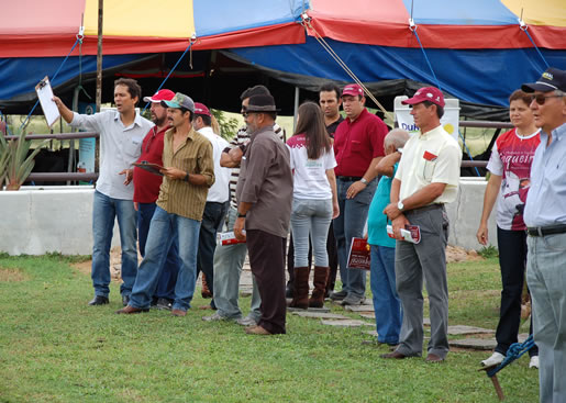 Imagem do leilão 12° Remate da Coqueiral 