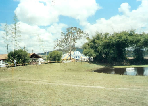 Imagem do leilão 4° Remate da Coqueiral 