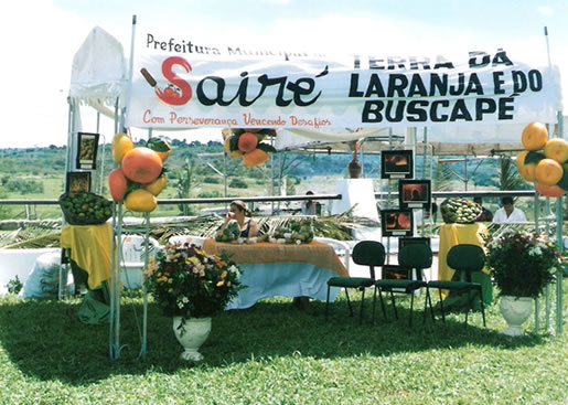 Imagem do leilão 6° Remate da Coqueiral 