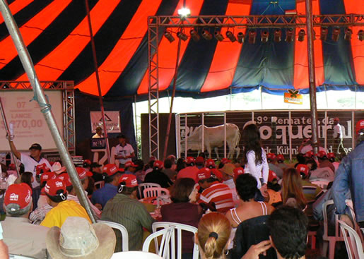 Imagem do leilão 9° Remate da Coqueiral 