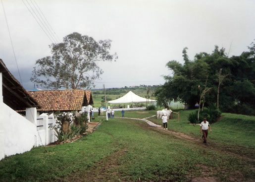 Imagem do leilão 2° Remate da  Coqueiral 