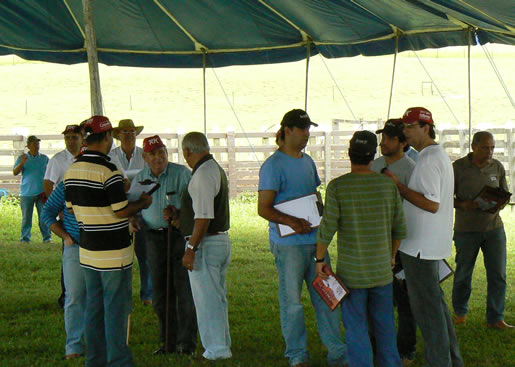 Imagem do leilão 9° Remate da Coqueiral 