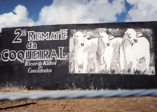 Imagem do leilão 2° Remate da  Coqueiral 