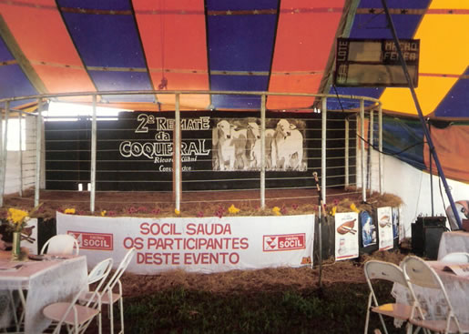 Imagem do leilão 2° Remate da  Coqueiral 