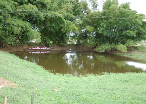 Imagem do leilão 12° Remate da Coqueiral 