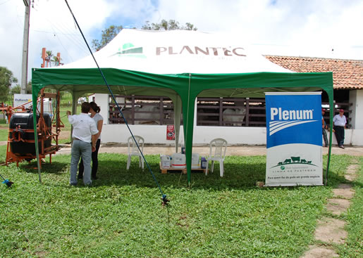 Imagem do leilão 12° Remate da Coqueiral 